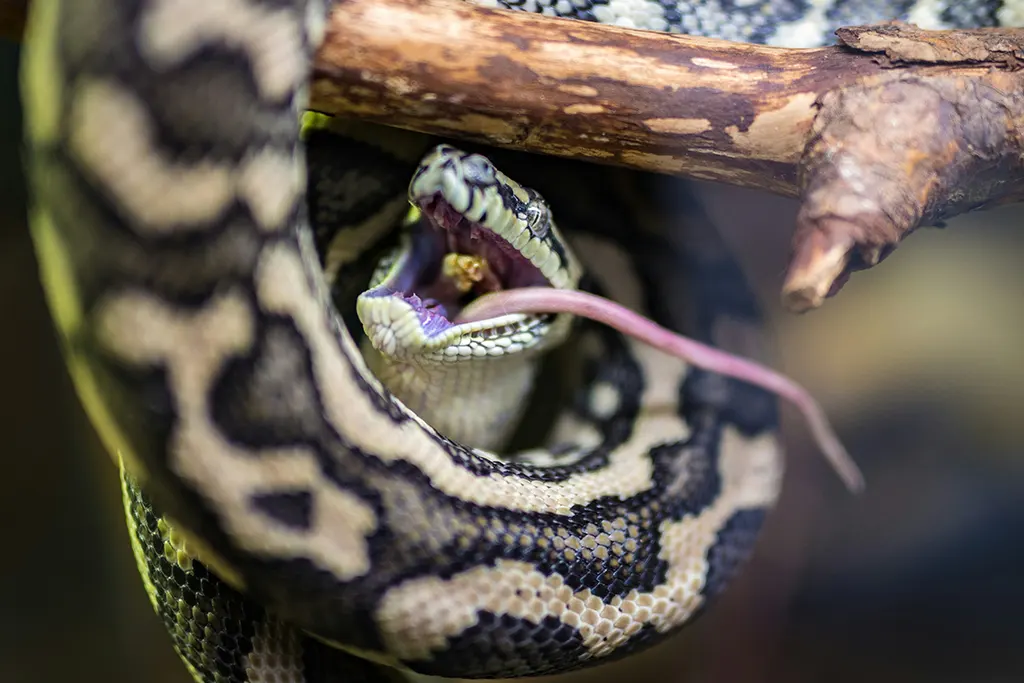 Poison Control and Toxicology