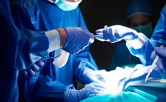 Hand & Micro Surgery